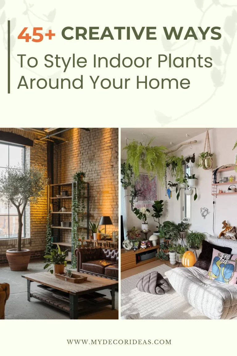 45+ Creative Ways to Style Indoor Plants Around Your Home